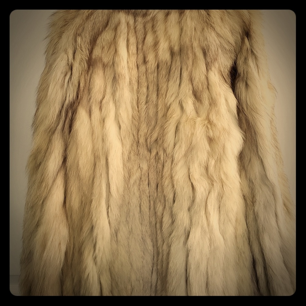 Vintage Saga Fox